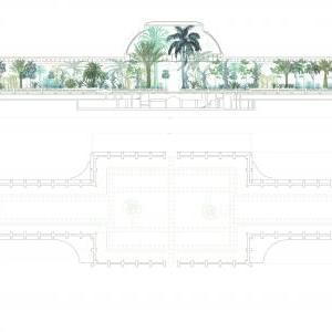 Palm House - Plan and Section
